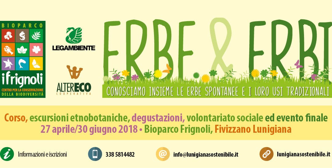 Al via il 27 aprile “Erbe & Erbi” • Corso sulle erbe spontanee alimentari in Lunigiana