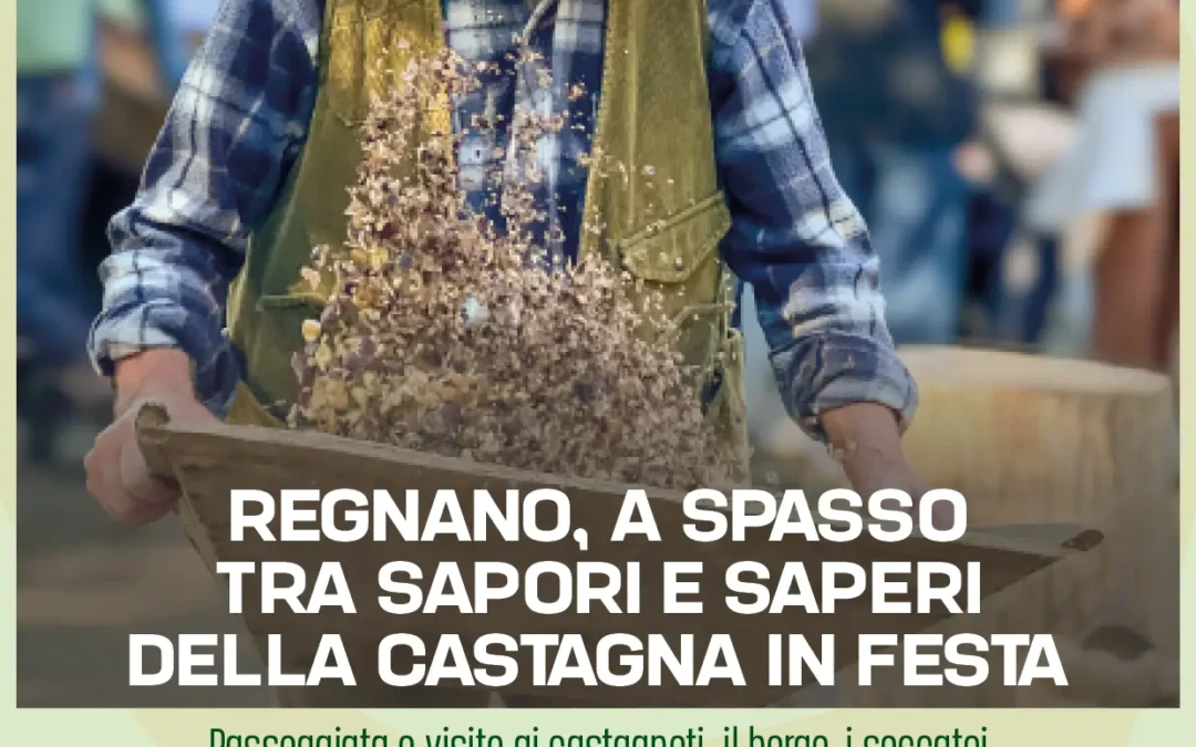 box escursione regnano 18102026